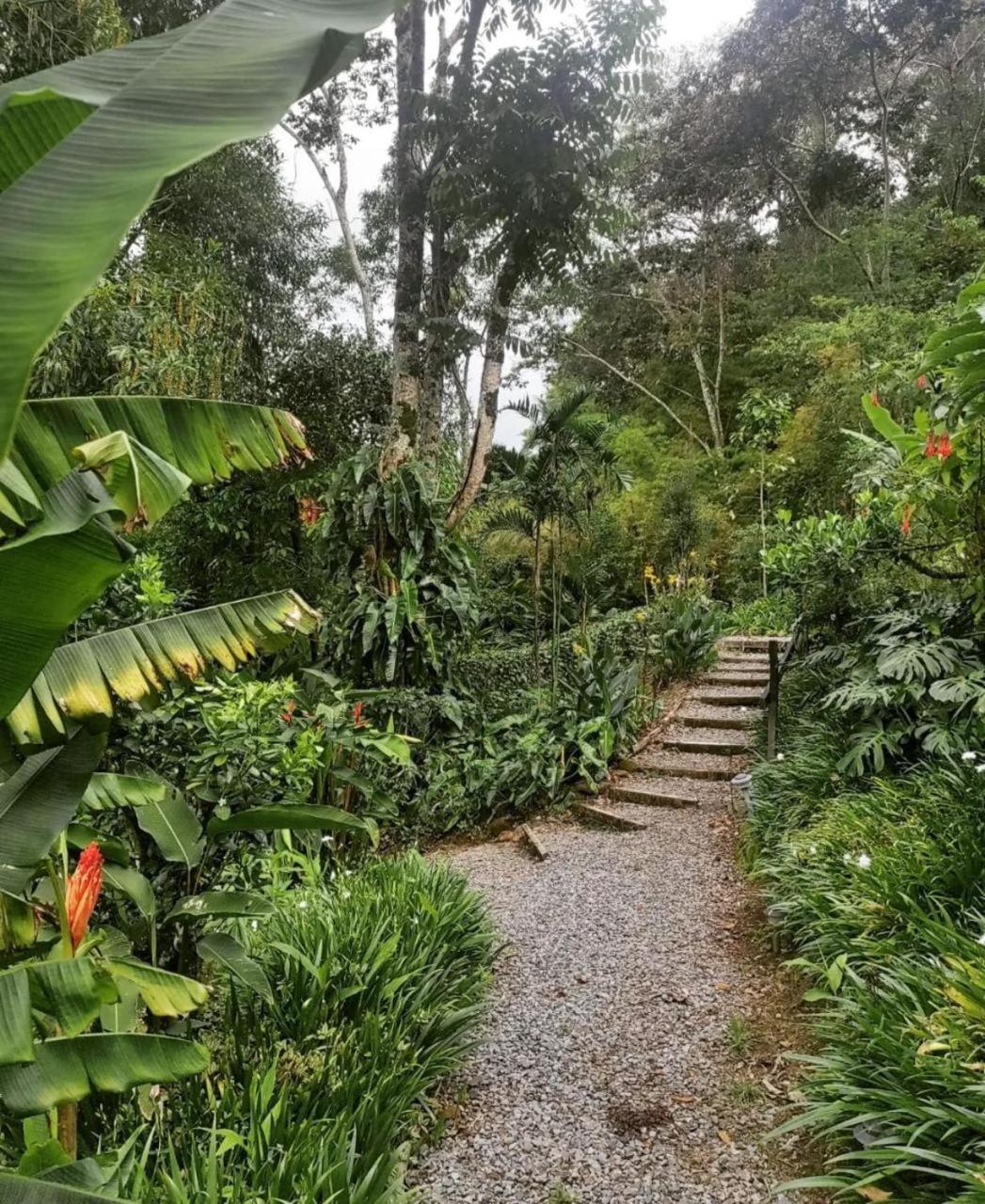 El Toucanet Lodge Copey Exterior photo